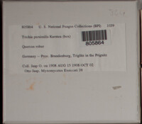 Image Associated With the Occurence